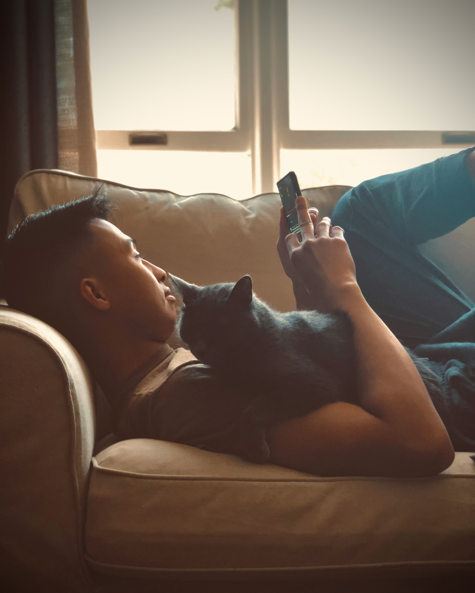 Person relaxing on couch with their cat while texting Harlan